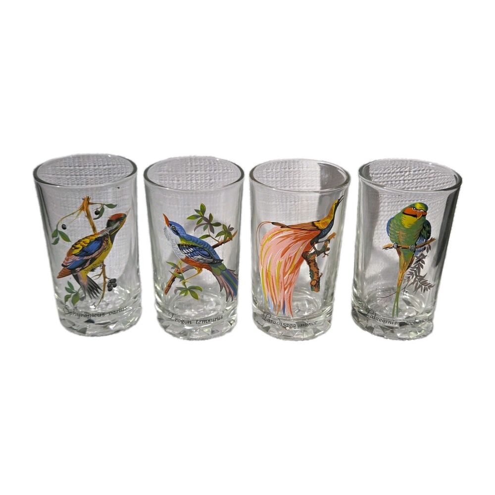 Vintage KIG Malaysia Exotic Bird Juice Glasses – Set of 4